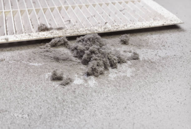 Best Local Air Duct Cleaning Services  in Skidaway Island, GA