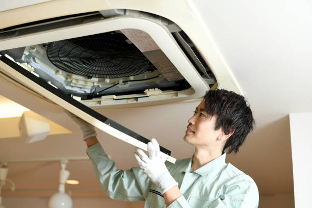 Best Air Duct Mold Removal  in Skidaway Island, GA